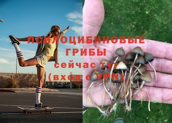 первитин Арсеньев