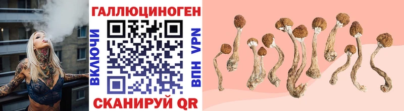 blacksprut как зайти  Боготол  Псилоцибиновые грибы Cubensis 
